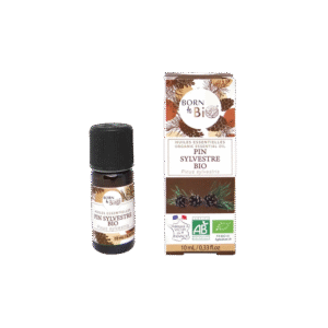 Ekologisk tallolja – Ren eterisk olja från tallbarr