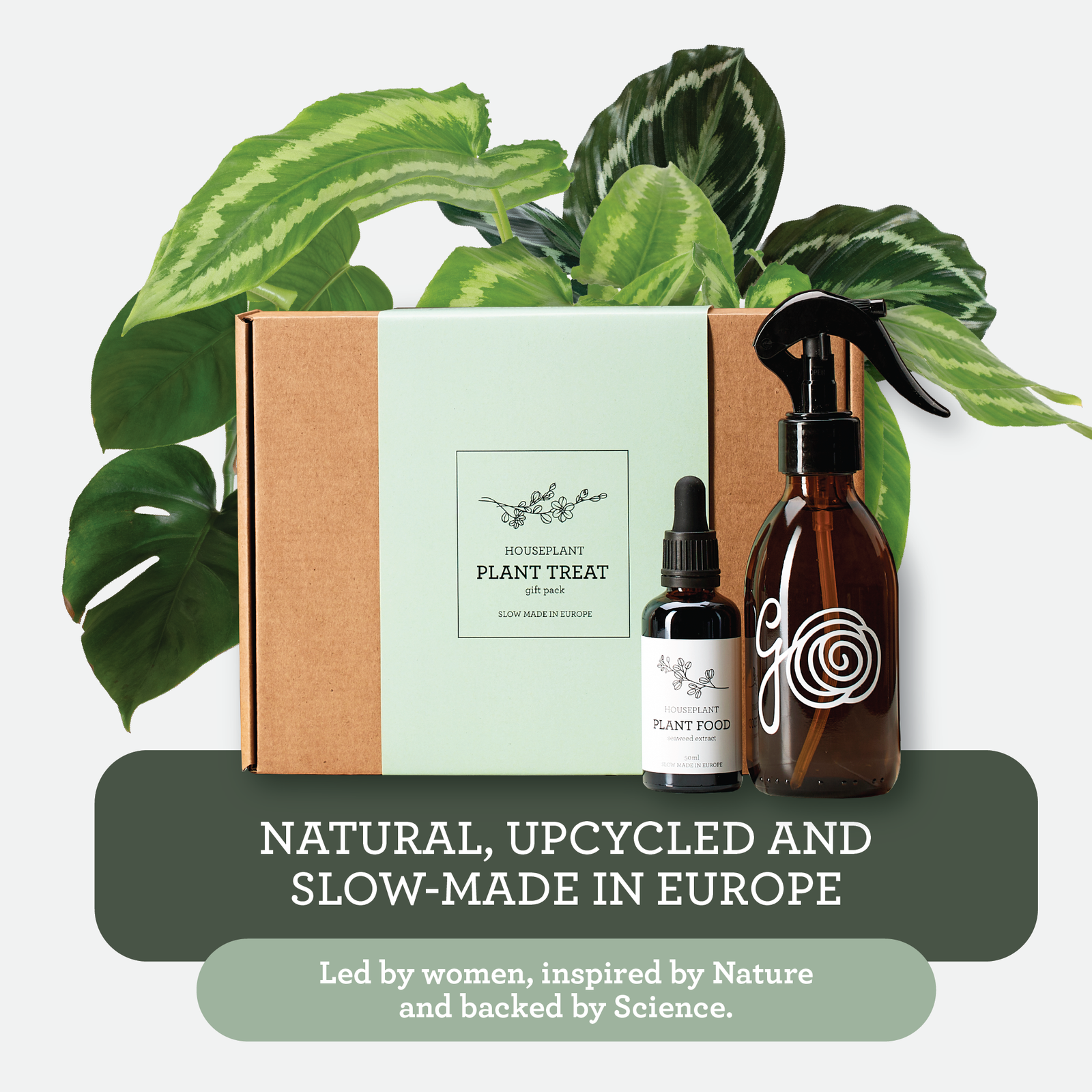 Växtnäring presentset – 50ml gödsel + sprayflaska i glas - Image 4