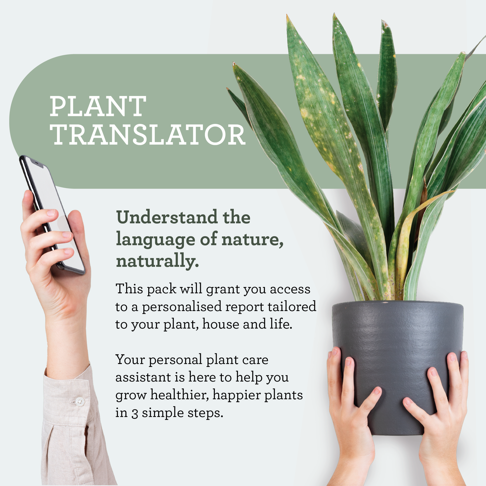 Växtnäring presentset – 50ml gödsel + sprayflaska i glas - Image 5