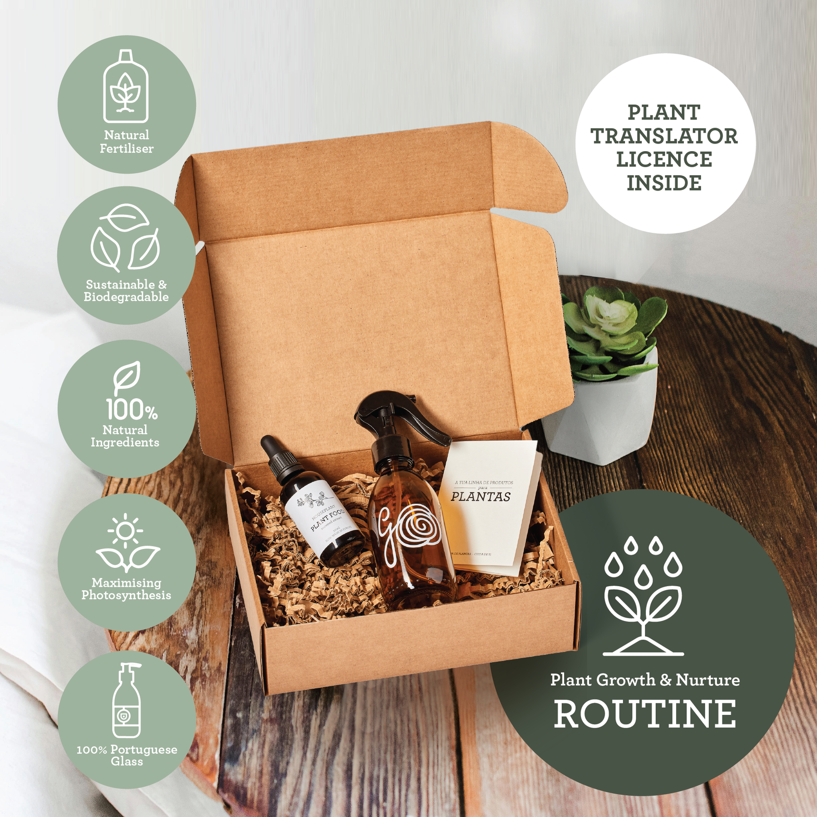 Växtnäring presentset – 50ml gödsel + sprayflaska i glas - Image 3