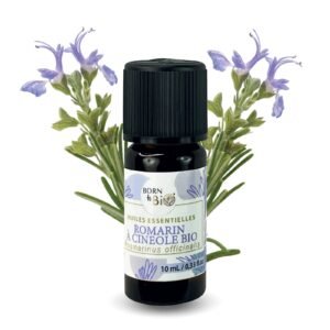 Eko eterisk olja från rosmarin cineol