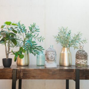 Växter & Trädgård